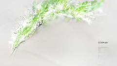 Zcomplex abstract