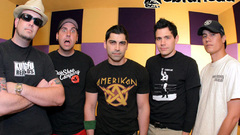 Zebrahead hey wg as