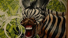 Zebras artwork street art Blaine Blaine Fontana