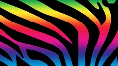 Zebras rainbows
