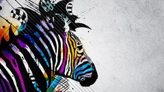 Zebras rainbows artwork