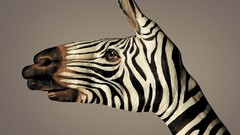 Zebras World Wildlife Fund