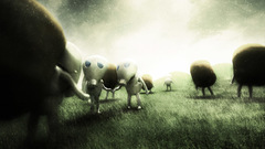 Zeek ru migratsiya Art