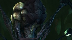 Zerg pc games starcraft strategy blizzard entertainment video 