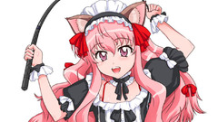 Zero no tsukaima animal