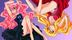 Zero no tsukaima Anime