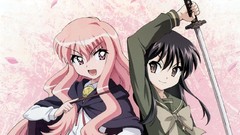 Zero No tsukaima Anime