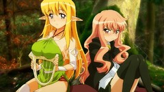 Zero no tsukaima elves