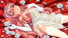 Zero no tsukaima long