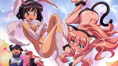 Zero no tsukaima nekomimi