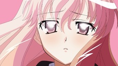 Zero no tsukaima pink