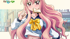 Zero no tsukaima school