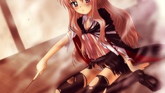 Zeronotsukaima Manga Anime