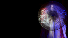 Ziyi Zhang Memoirs of