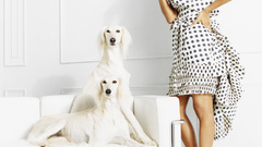 Zoe saldana Celebrity