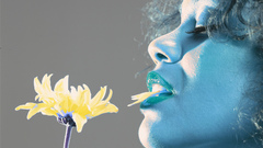 Zoe saldana Celebrity