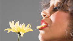 Zoe saldana Celebrity