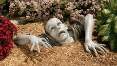 Zombies funny Photomanipulation Garden