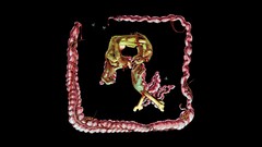 Zombies rockstar games logos Guts intestines