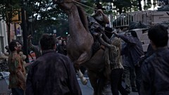 Zombies the walking dead