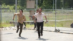 Zombies the walking dead