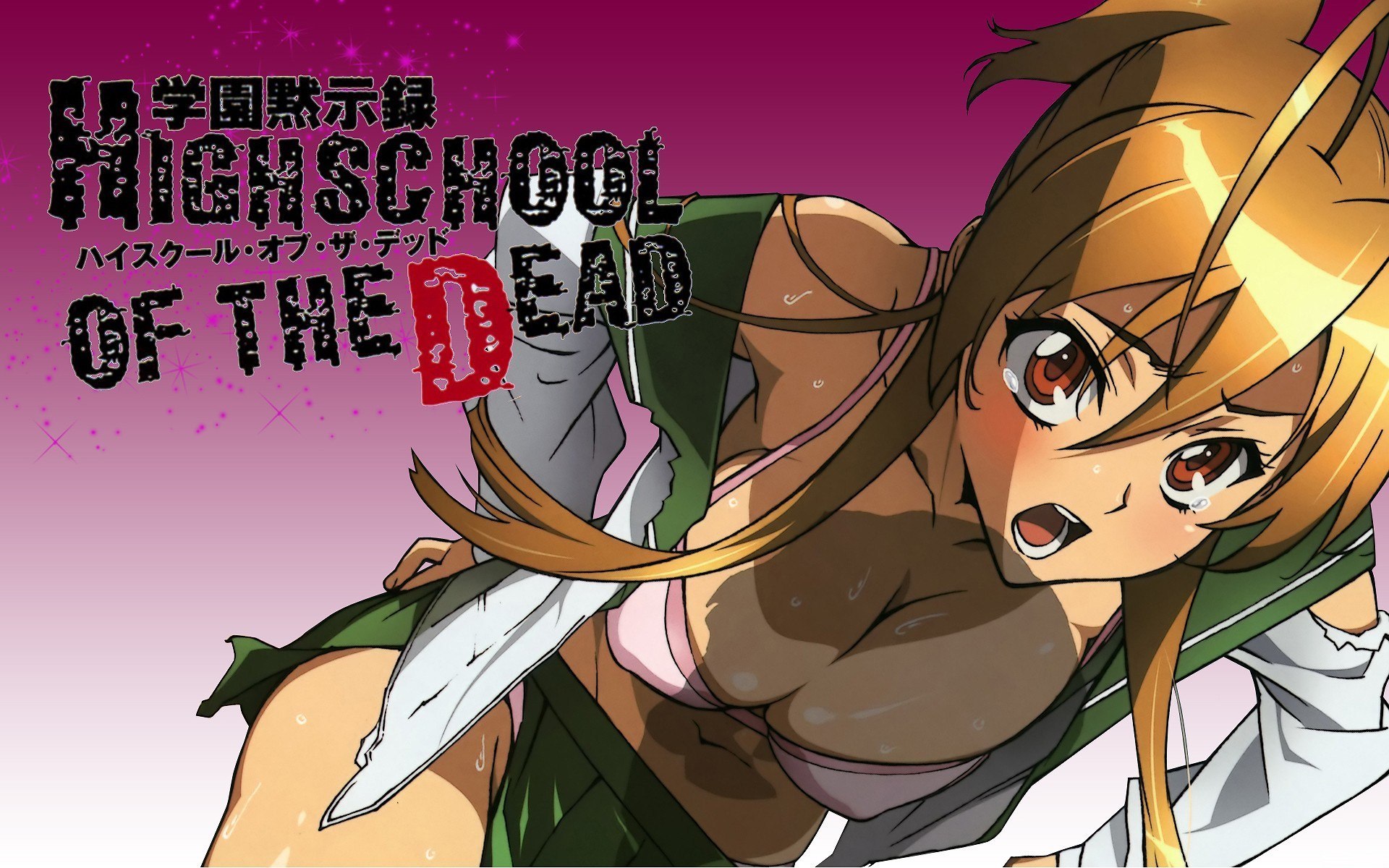 Highschool Of The Dead