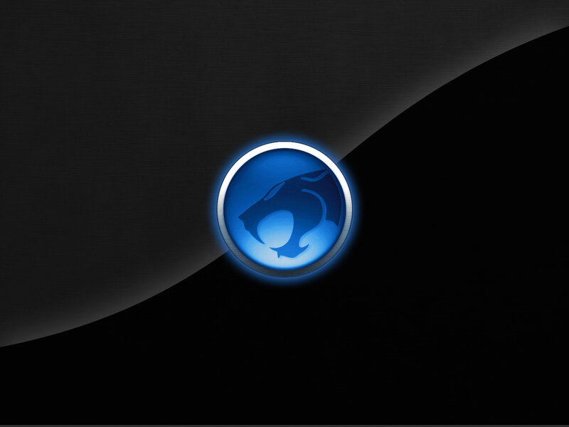 ThunderCats logo on dark background