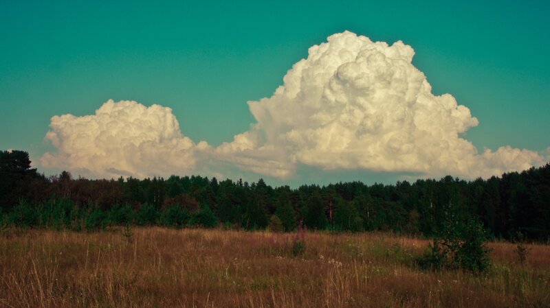 Thunderstorm clouds over forest
