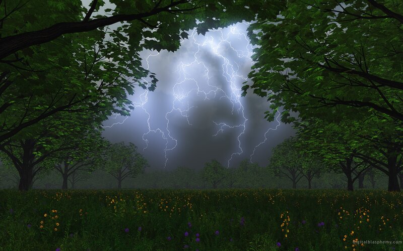 Thunderstorm in a forest clearing