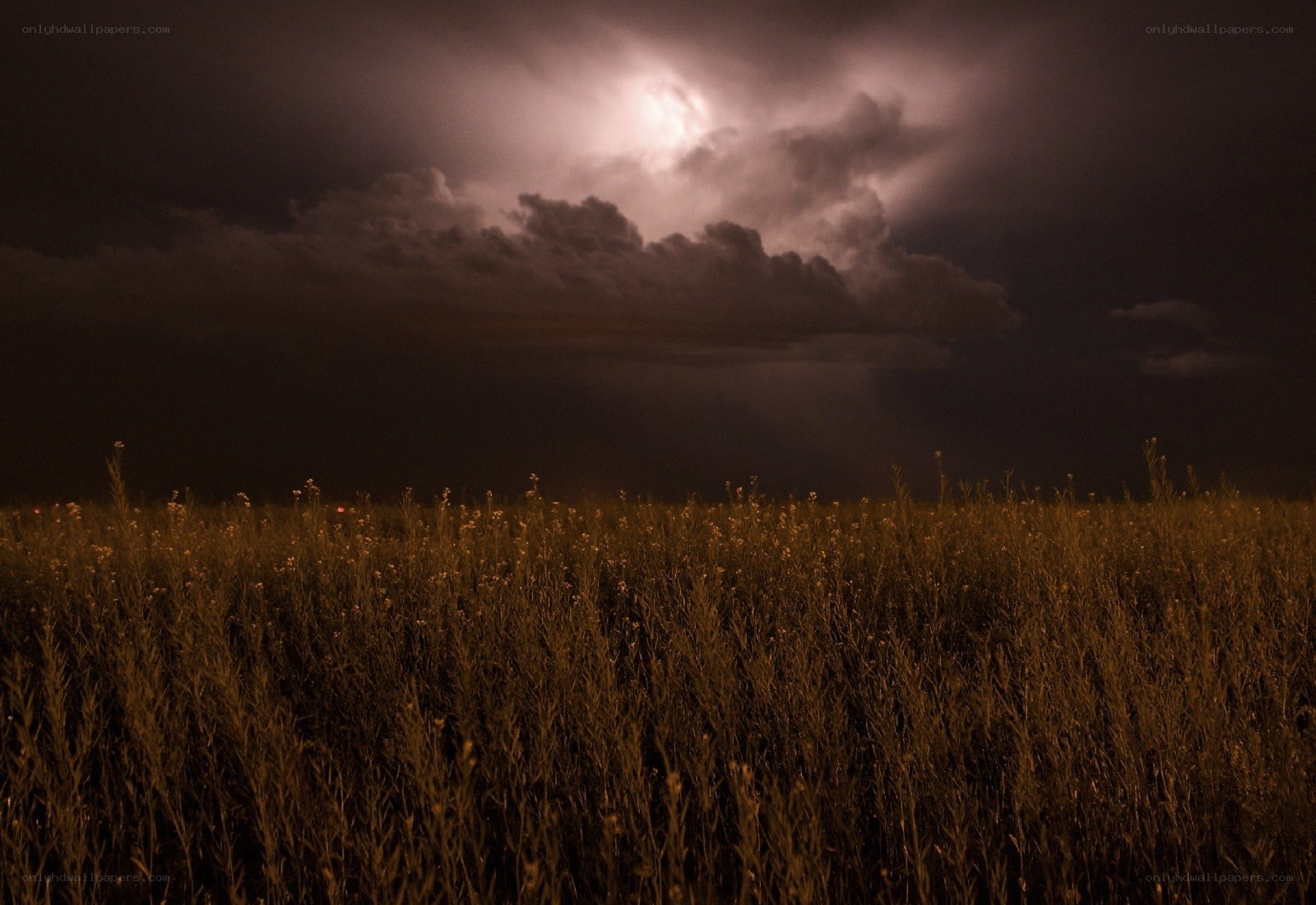 Thunderstorm over a field