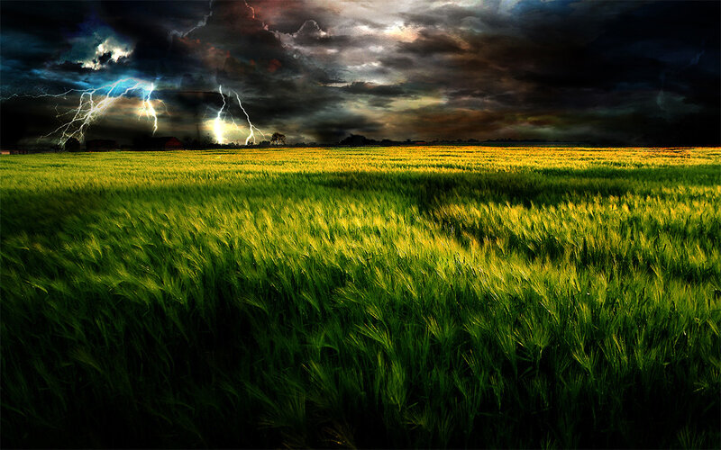 Thunderstorm over a wheat field