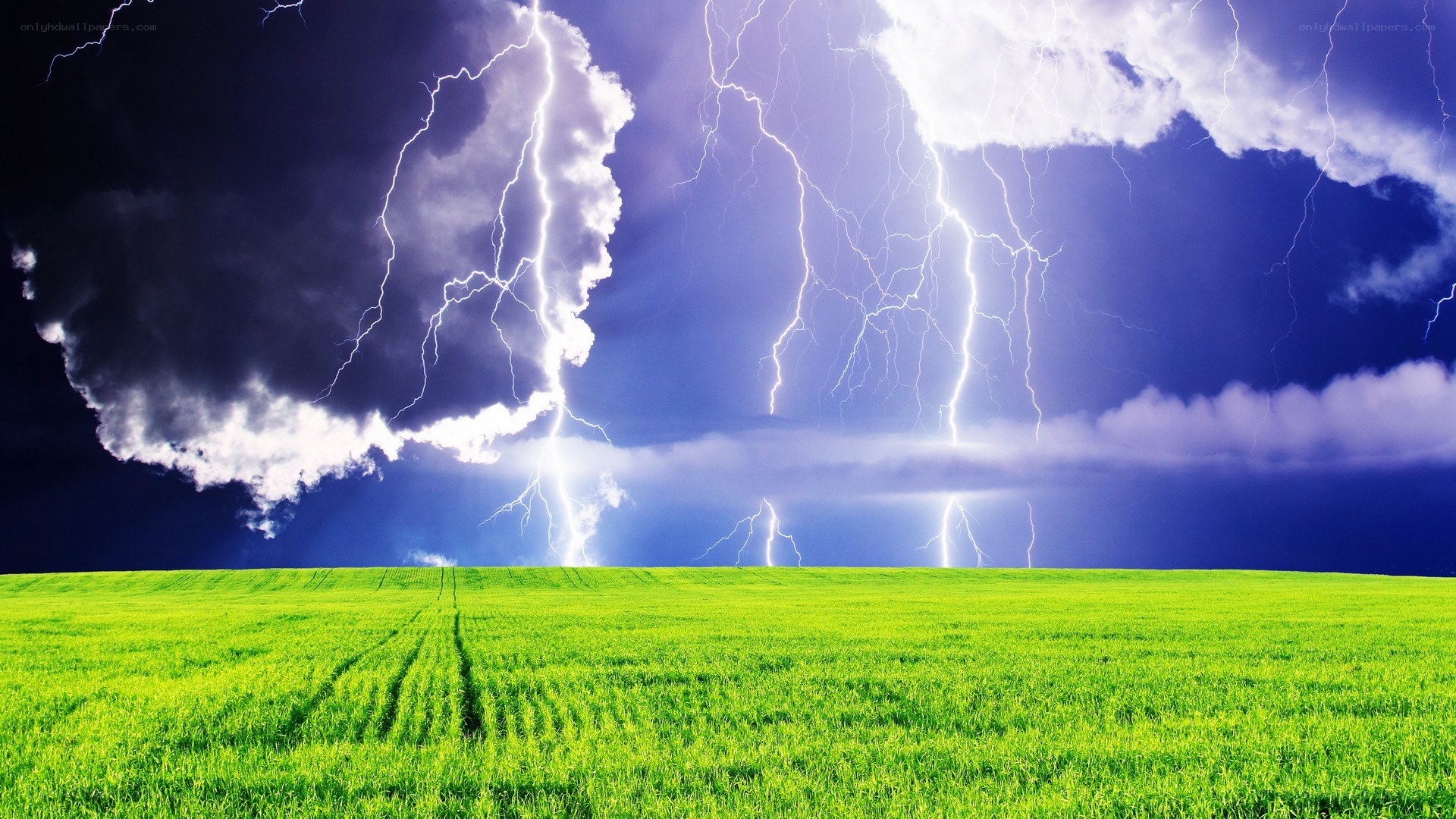 Thunderstorm over green field
