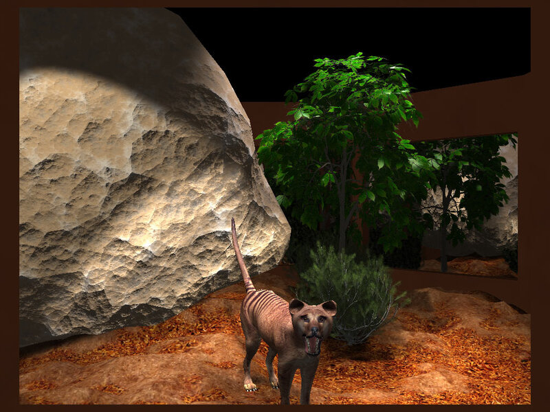 Thylacine in Enclosure