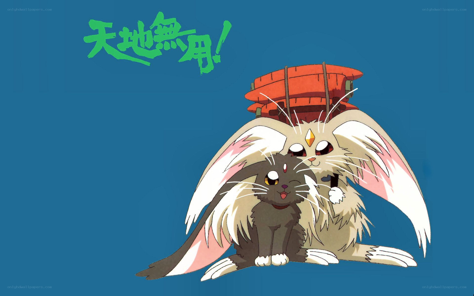 Tian Di Wu Yong characters