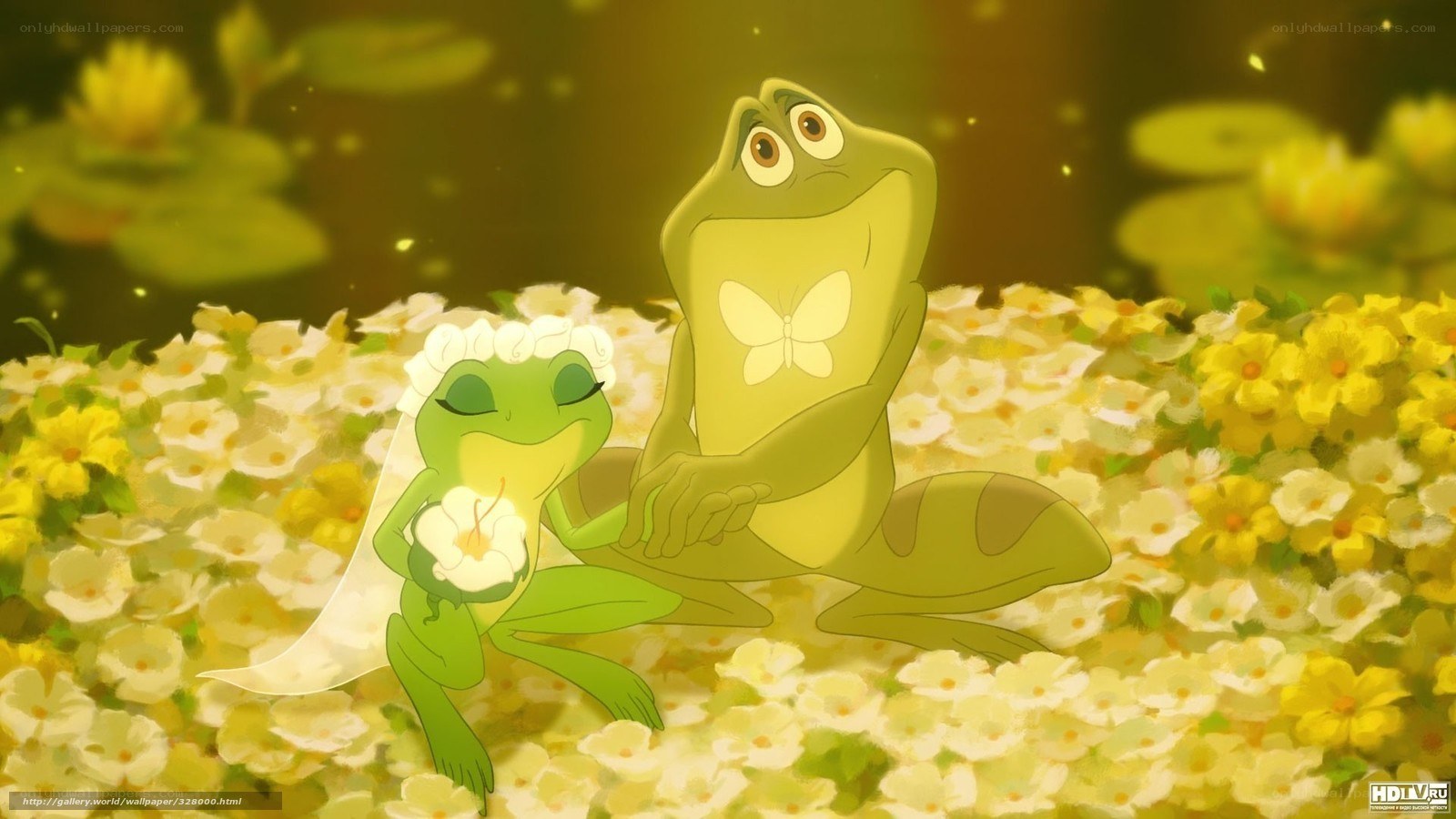 Tiana and Naveen's wedding