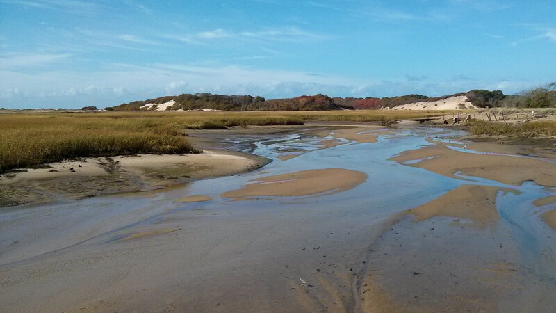 Tidal Creek in Marsh