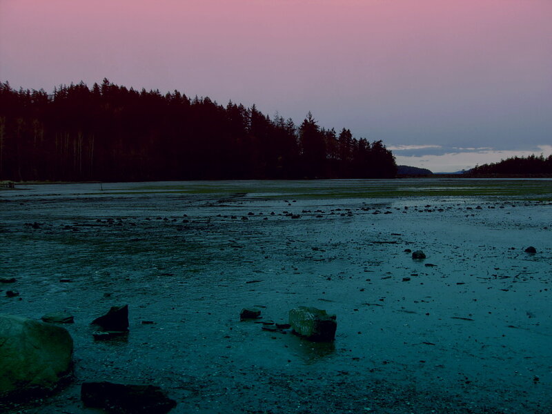 Tidal Flat at Dusk