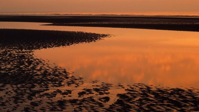 Tidal Flat at Sunset — Orange