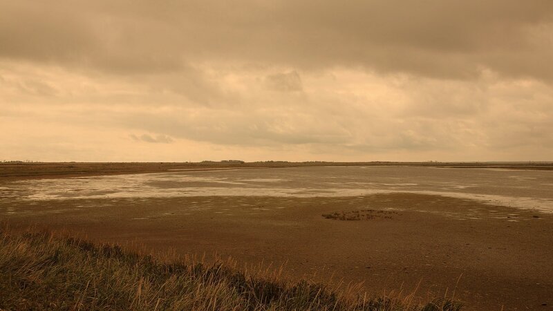 Tidal Flat Landscape