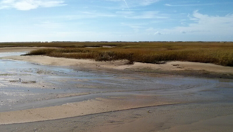 Tidal Flat with Marsh