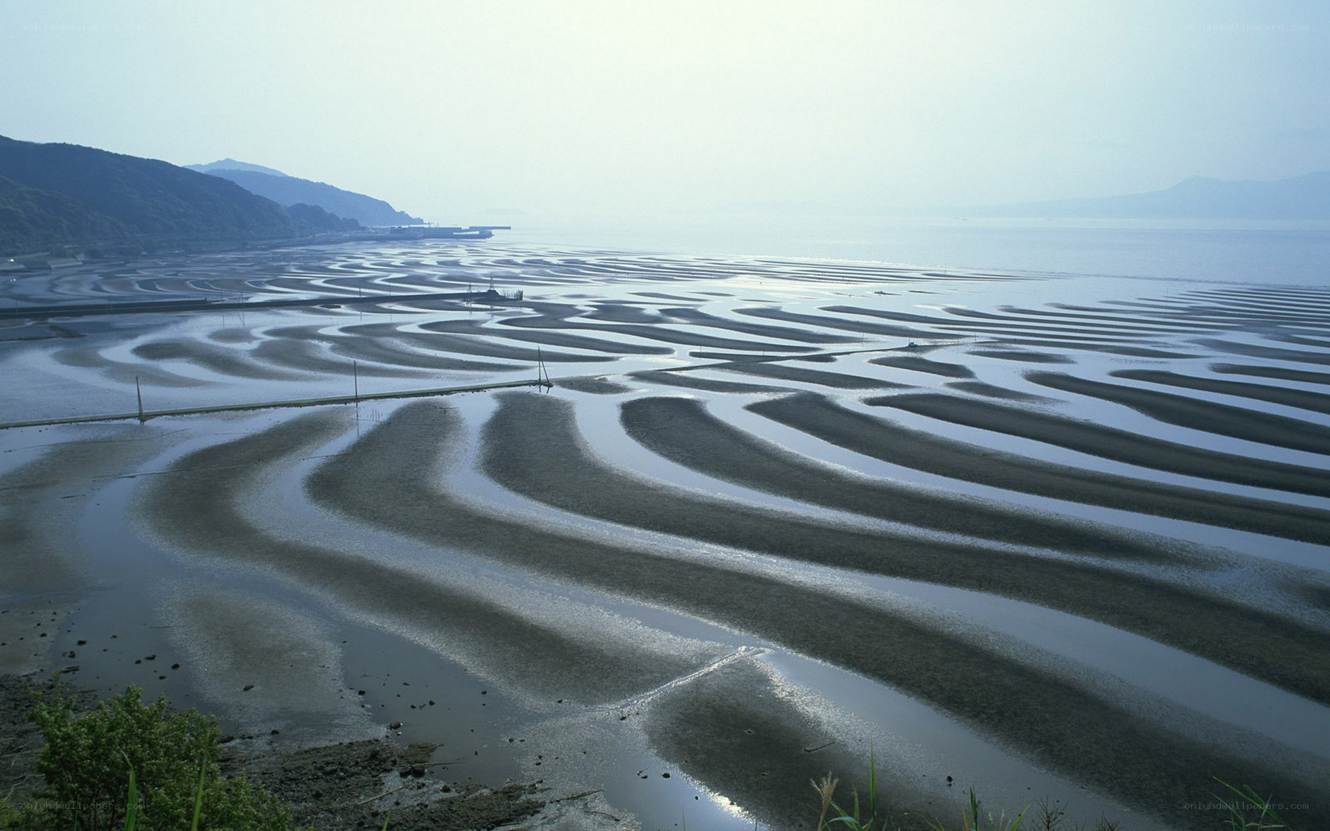 tidal flats at low tide
