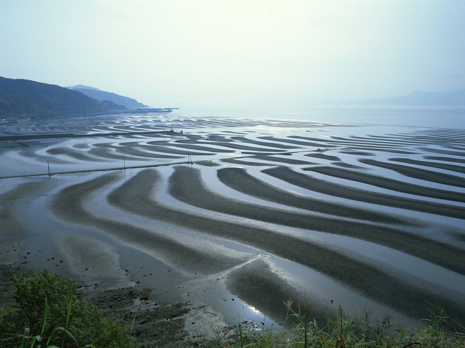 tidal flats at low tide