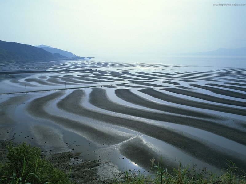 tidal flats at low tide