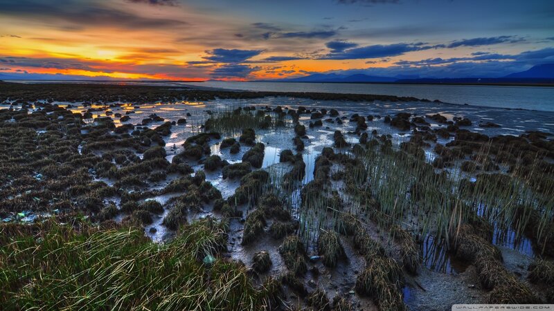 Tidal Flats at Sunset