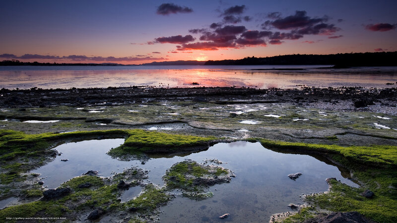 Tidal Pool at Sunset — Purple