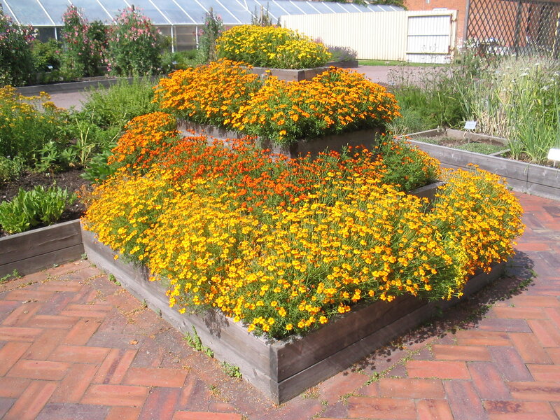 Tiered Flower Bed