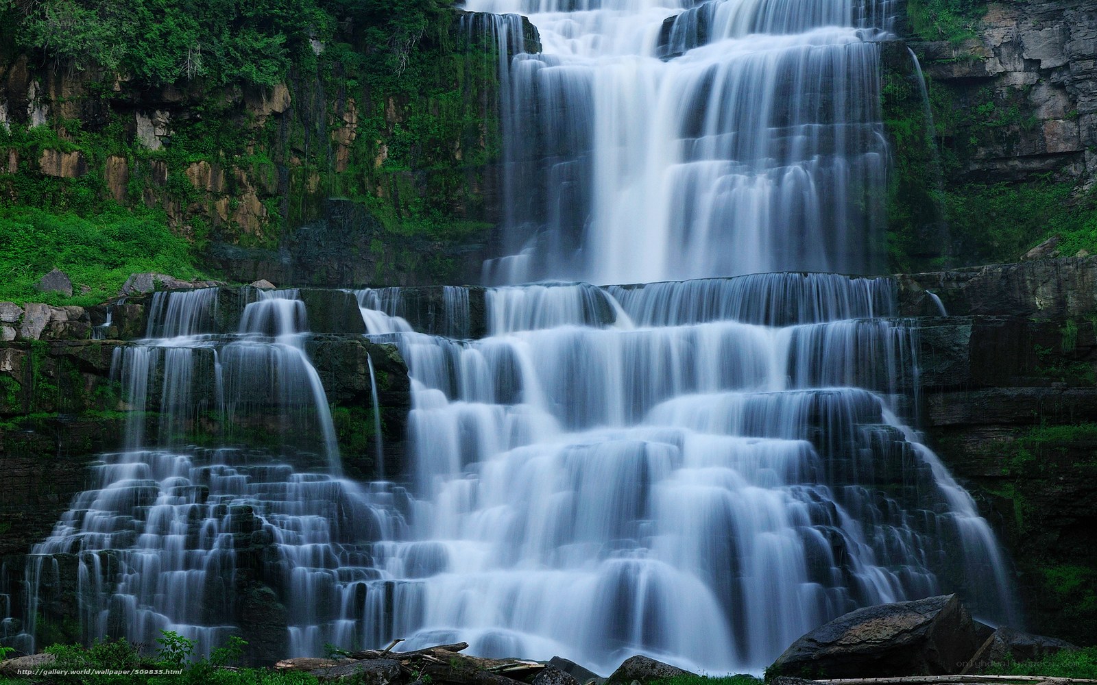 Tiered waterfall in forest