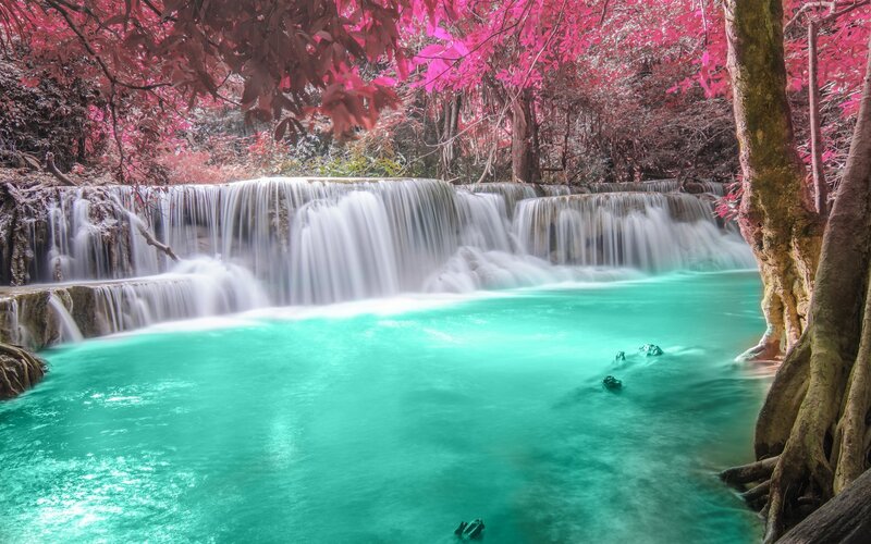 Tiered Waterfall in Forest — Cyan