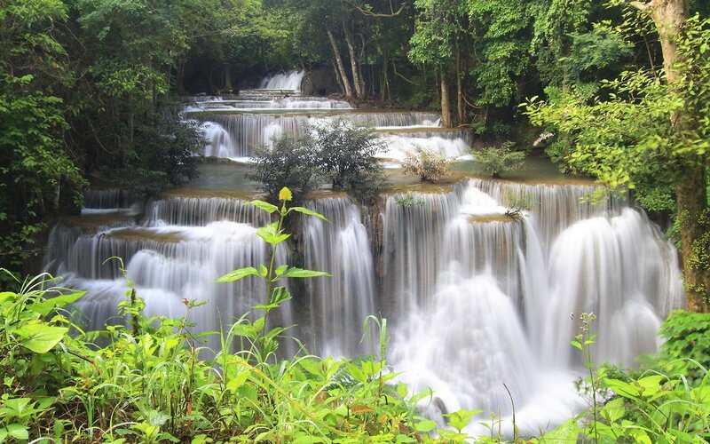 Tiered Waterfall in Forest — Green, Serene, Afternoon, Photograph, Trees, Plants, River