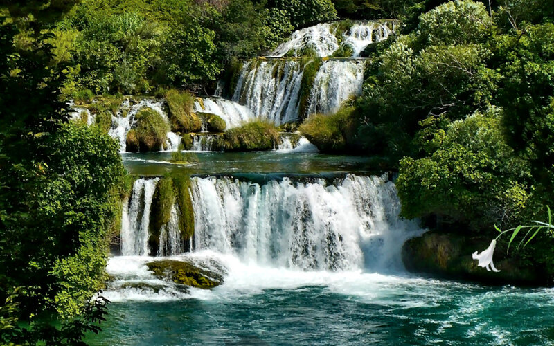 Tiered Waterfall in Forest — Green, Serene, Afternoon, Photograph, Trees, River, Flower